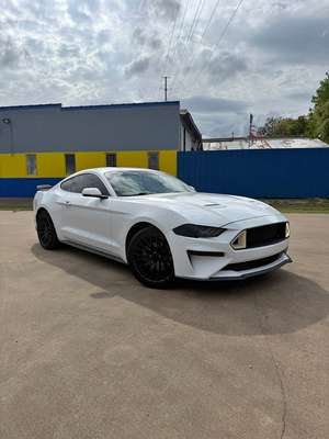 2019 Ford Mustang - Eco Boost