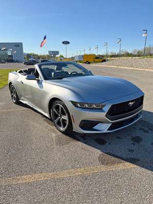 2024 Ford Mustang - EcoBoost Premium Convertible 2D
