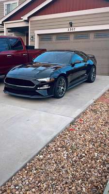 2020 Ford Mustang - GT Premium Coupe 2D