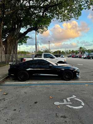 2021 Ford Mustang - GT Premium Coupe 2D