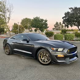 2016 Ford Mustang - Shelby GT350 Coupe 2D