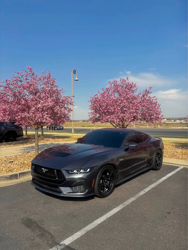 2024 Ford Mustang - GT Coupe 2D