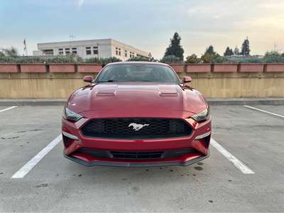 2019 Ford Mustang