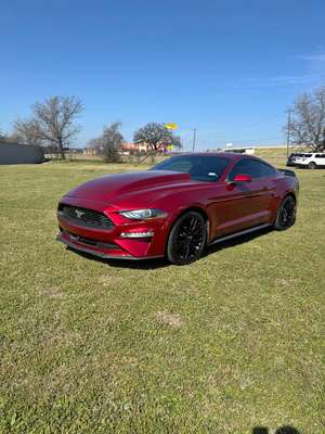 2019 Ford Mustang