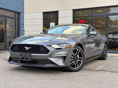 2021 Ford Mustang - EcoBoost Premium Coupe 2D
