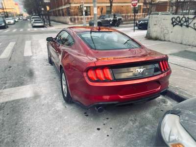 2020 Ford Mustang - EcoBoost Coupe 2D