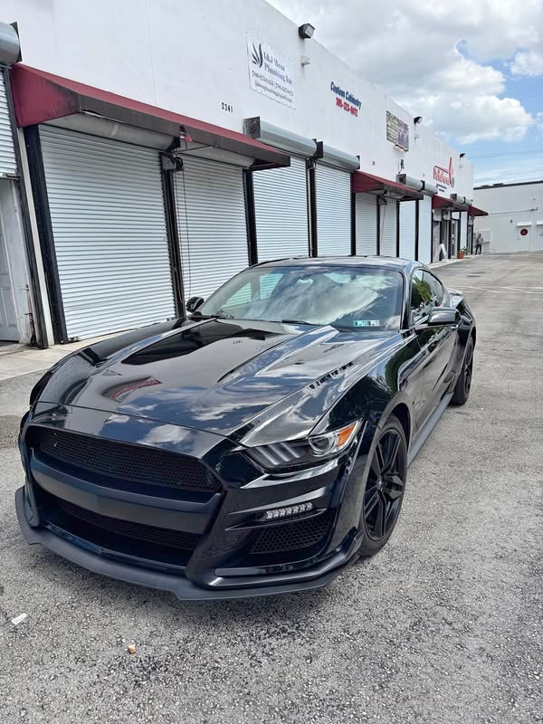 2017 Ford Mustang - EcoBoost Coupe 2D