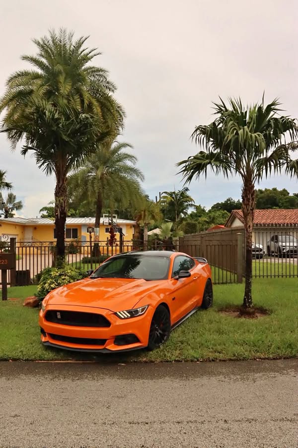 2018 Ford Mustang - GT 5.0