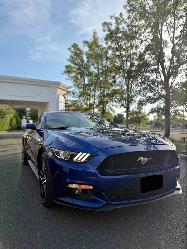 2015 Ford Mustang - V6 Coupe 2D