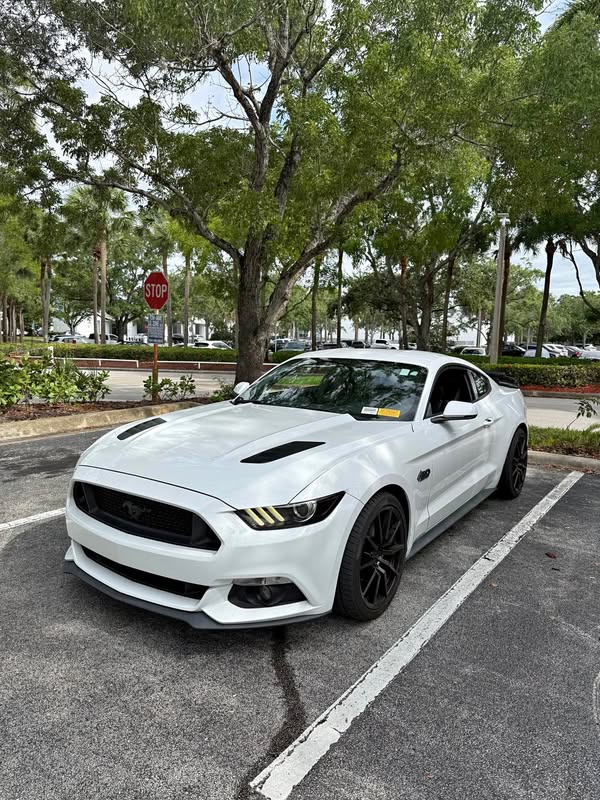2017 Ford Mustang - GT Premium Coupe 2D