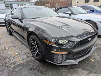 2023 Ford Mustang - EcoBoost Premium Convertible 2D