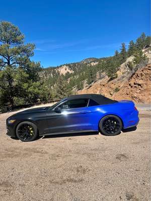 2017 Ford Mustang - GT Premium Convertible 2D