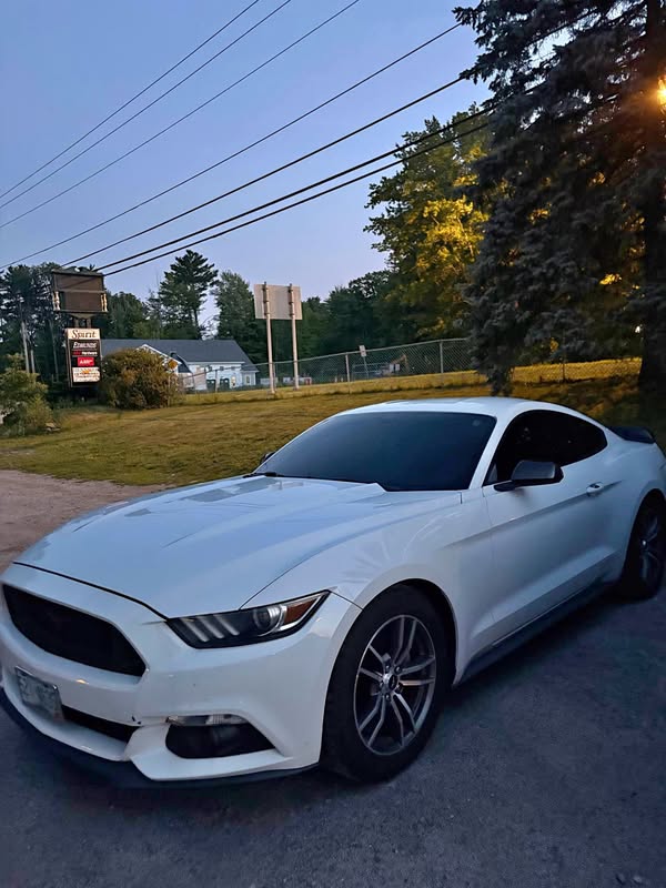 2016 Ford Mustang - Coupe 2D