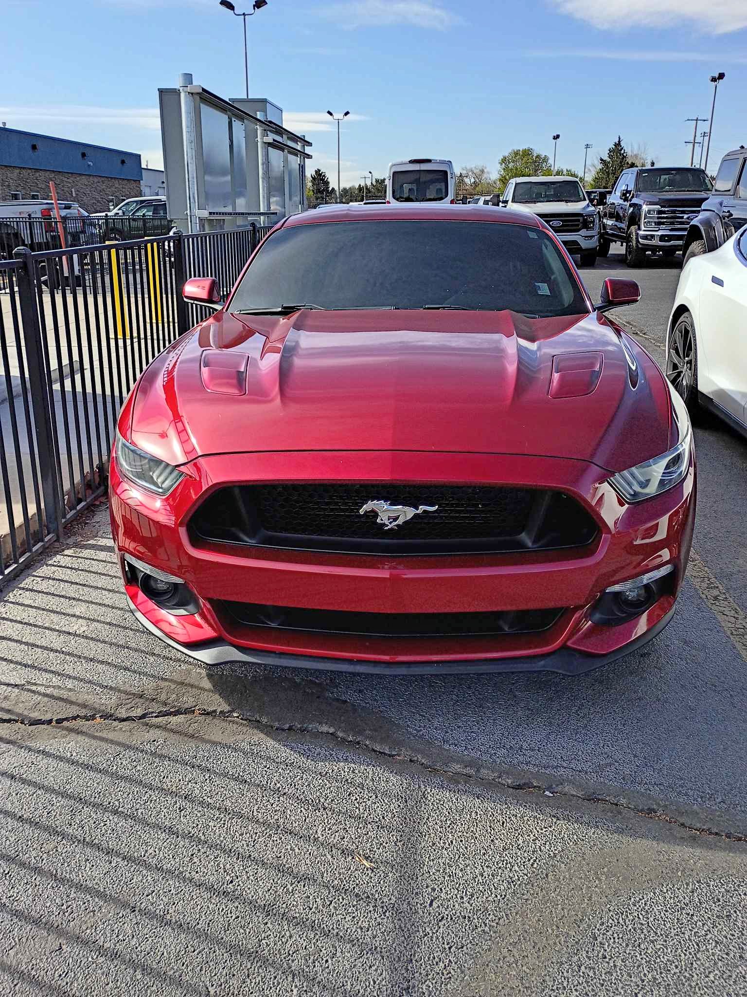 2016 Ford Mustang - GT Coupe V8