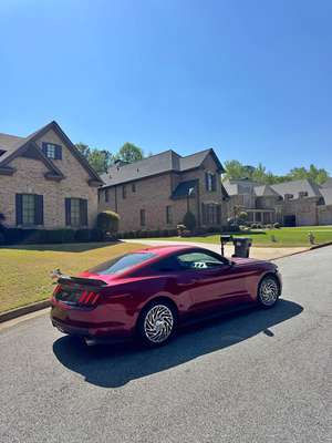 2015 Ford Mustang - EcoBoost Coupe 2D