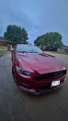 2015 Ford Mustang - EcoBoost Coupe 2D