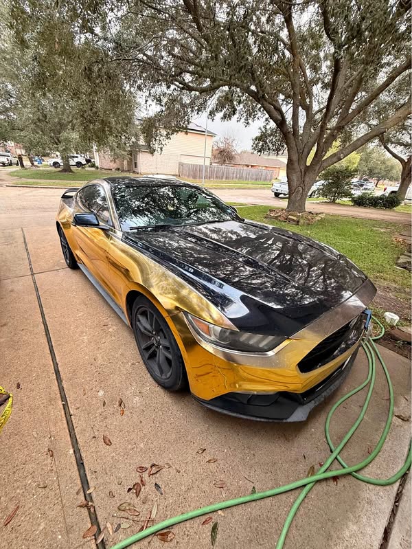 2015 Ford Mustang - EcoBoost Premium Coupe 2D