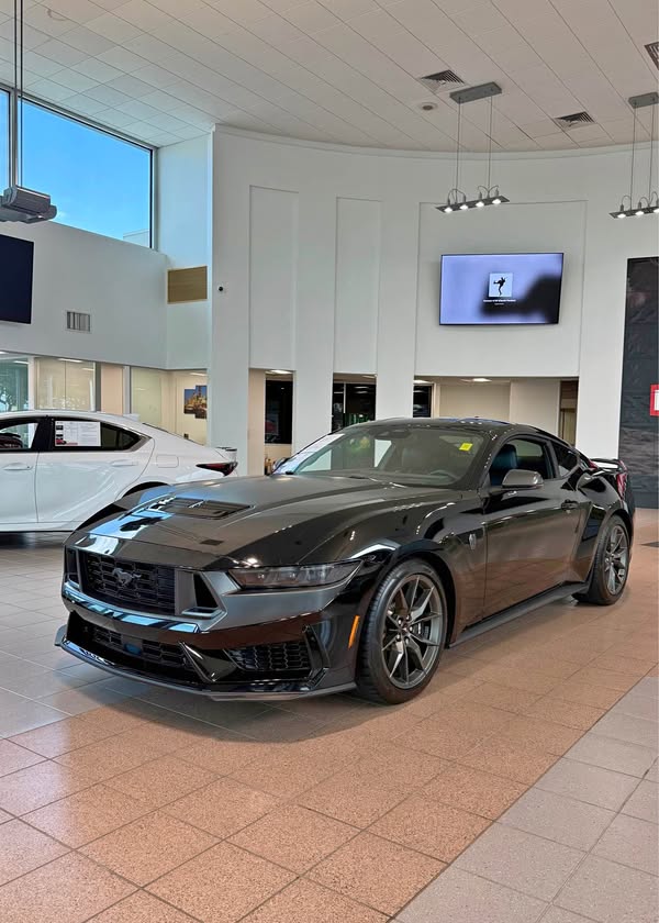 2024 Ford Mustang - Dark Horse Coupe 2D
