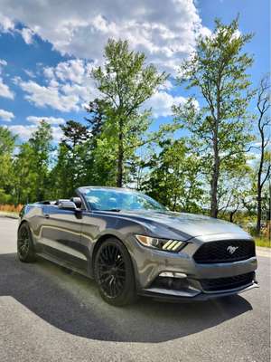 2016 Ford Mustang - EcoBoost Premium Convertible 2D
