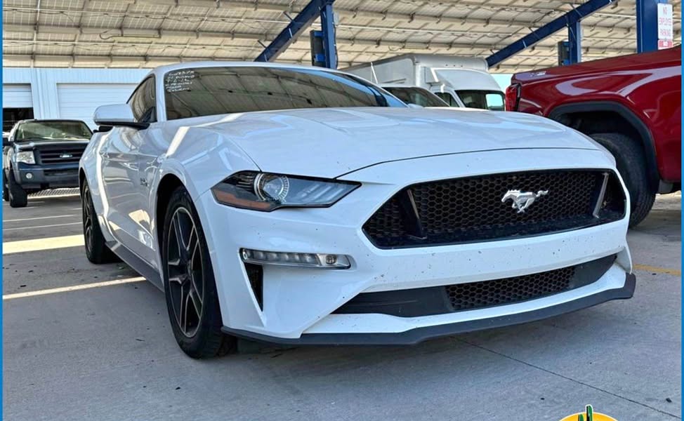 2021 Ford Mustang - GT Coupe 2D