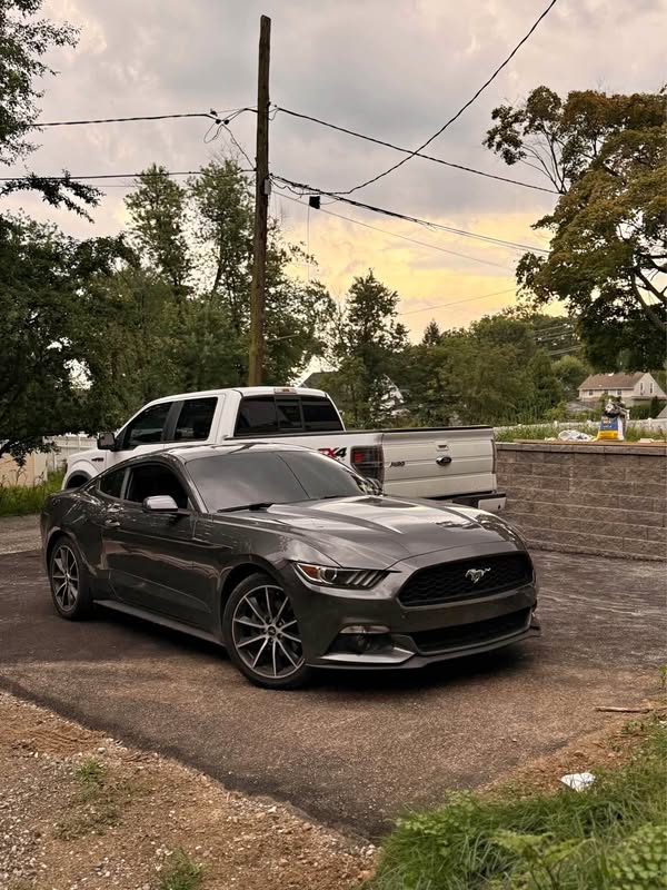 2017 Ford Mustang - EcoBoost Coupe 2D
