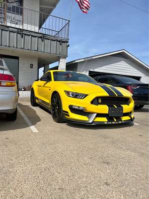 2018 Ford Mustang - Shelby GT350 Coupe 2D