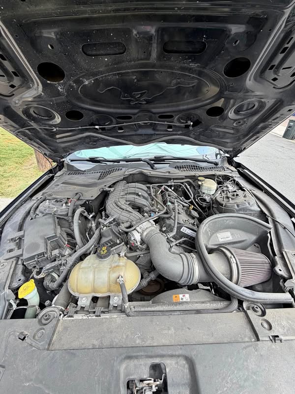 2016 Ford Mustang - V6 Coupe 2D