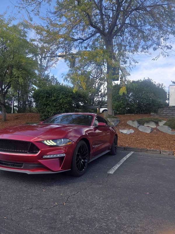 2018 Ford Mustang - EcoBoost Coupe 2D