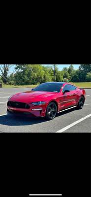 2023 Ford Mustang