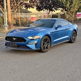 2019 Ford Mustang