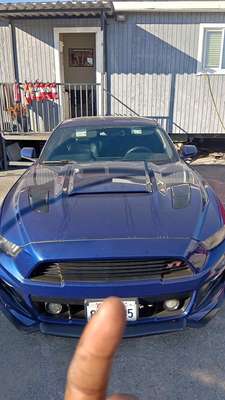 2015 Ford Mustang - Boss 302 Coupe 2D