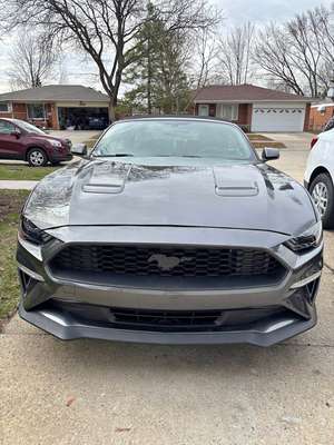 2017 Ford Mustang - GT