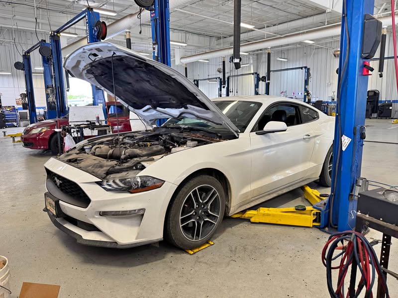 2022 Ford Mustang - EcoBoost Premium Coupe 2D