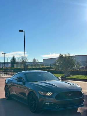 2015 Ford Mustang - Gt