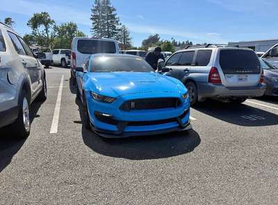 2017 Ford Mustang - Shelby GT350 Coupe 2D