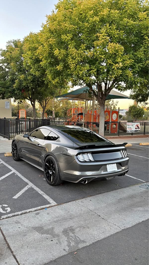 2015 Ford Mustang - V6 Coupe 2D