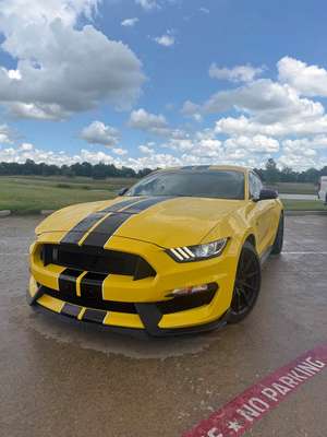 2018 Ford Mustang - Shelby GT350 Coupe 2D