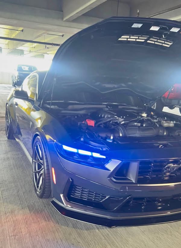 2024 Ford Mustang - Dark Horse Coupe 2D