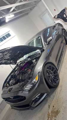 2016 Ford Mustang - GT