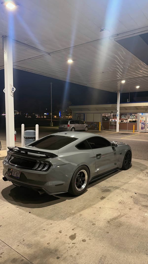 2017 Ford Mustang - GT Premium Coupe 2D