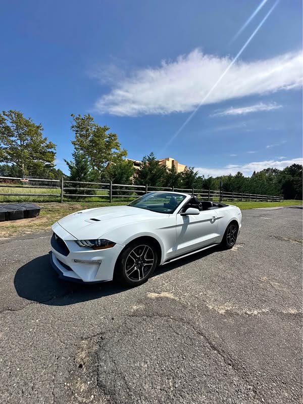2023 Ford Mustang