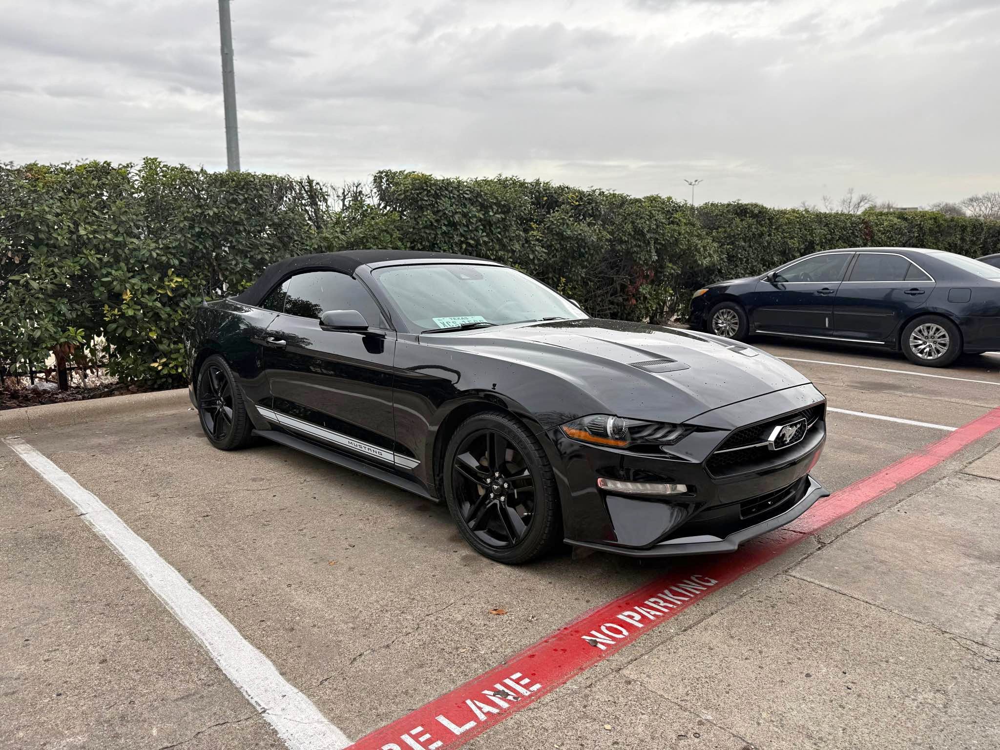 2019 Ford Mustang