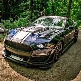 2021 Ford mustang gt premium coupe