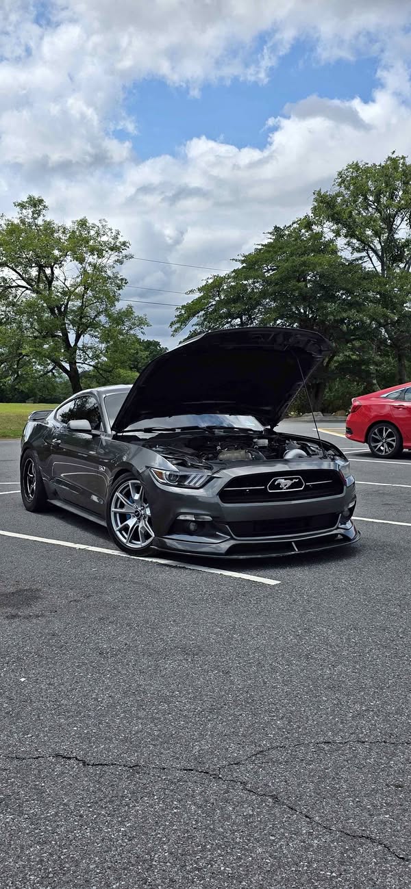2015 Ford Mustang - GT 50 Years Limited Edition Coupe 2D