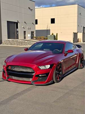 2017 Ford Mustang - GT 50 Years Limited Edition Coupe 2D