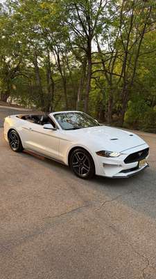 2019 Ford Mustang - EcoBoost Premium Convertible 2D