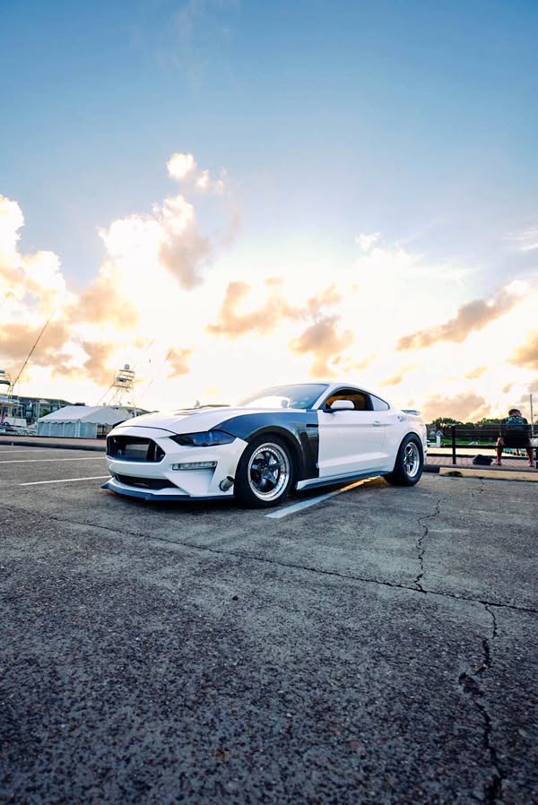 2019 Ford Mustang - GT PP1