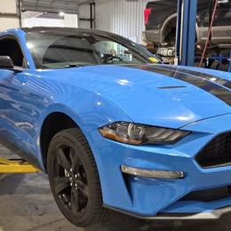 2023 Ford Mustang EcoBoost \ud83e\udd18 40500 Miles