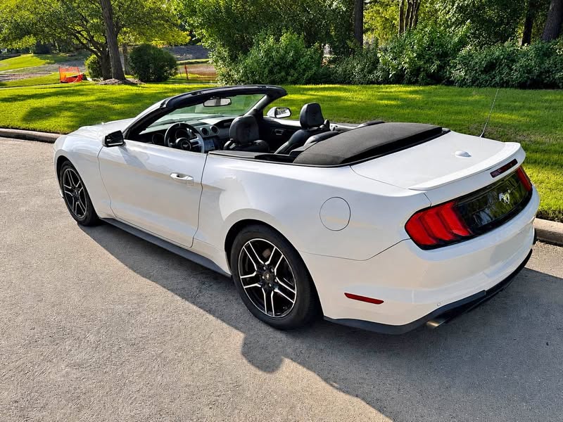 2019 Ford Mustang - EcoBoost Premium Convertible 2D