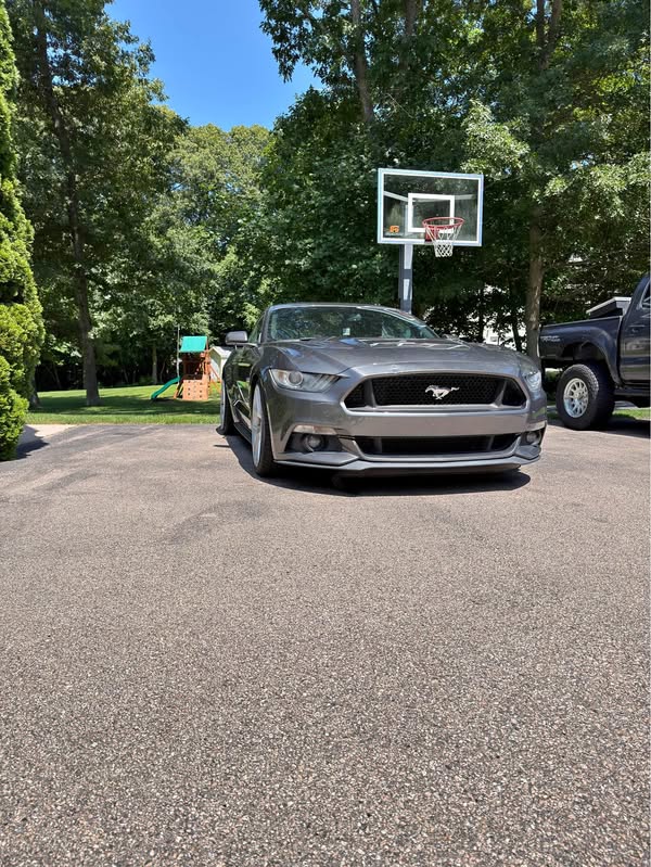 2017 Ford Mustang - GT Coupe 2D